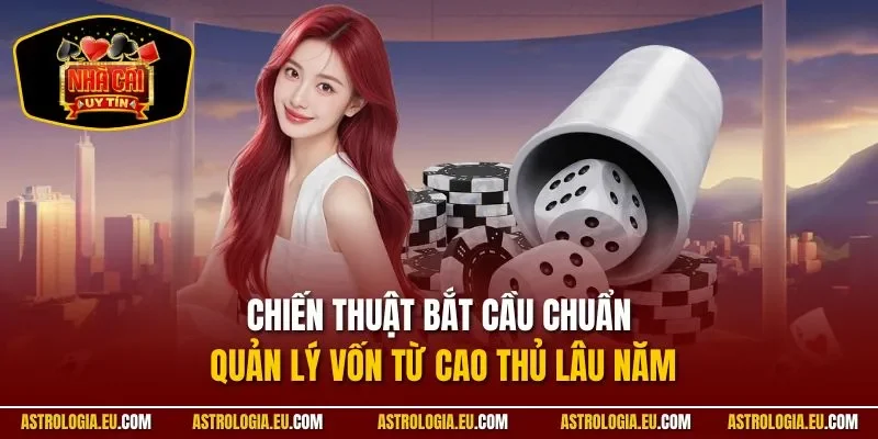 Chiến thuật bắt cầu chuẩn quản lý vốn từ cao thủ lâu năm