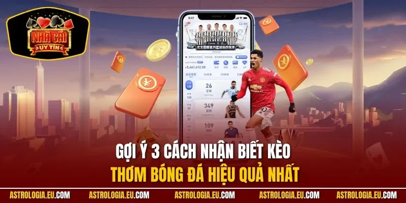 Gợi ý 3 cách nhận biết kèo thơm bóng đá hiệu quả nhất