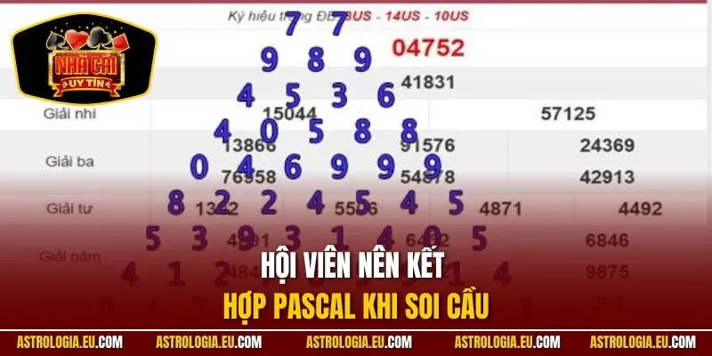 Hội viên nên kết hợp Pascal trong cách soi lô gan/lô rơi
