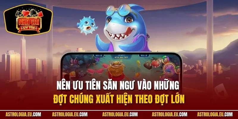 Nên ưu tiên săn ngư vào những đợt chúng xuất hiện theo đợt lớn