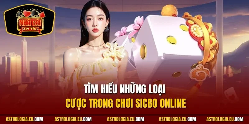 Tìm hiểu mẹo đánh sicbo theo tổng điểm từng bước cơ bản